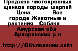 Продажа чистокровных щенков породы шарпей › Цена ­ 8 000 - Все города Животные и растения » Собаки   . Амурская обл.,Архаринский р-н